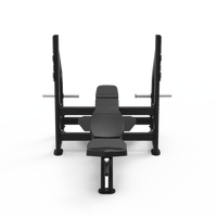APXMAX Commercial Fixed Incline Bench Press