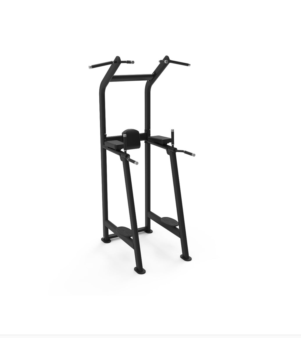 APXMAX Vertical Knee Raise