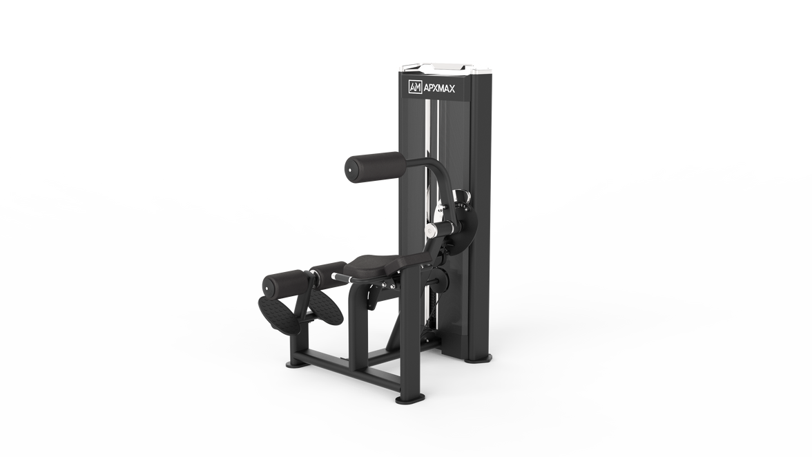 APXMAX C4 Dual Pro Series - Back Extension / Ab Crunch