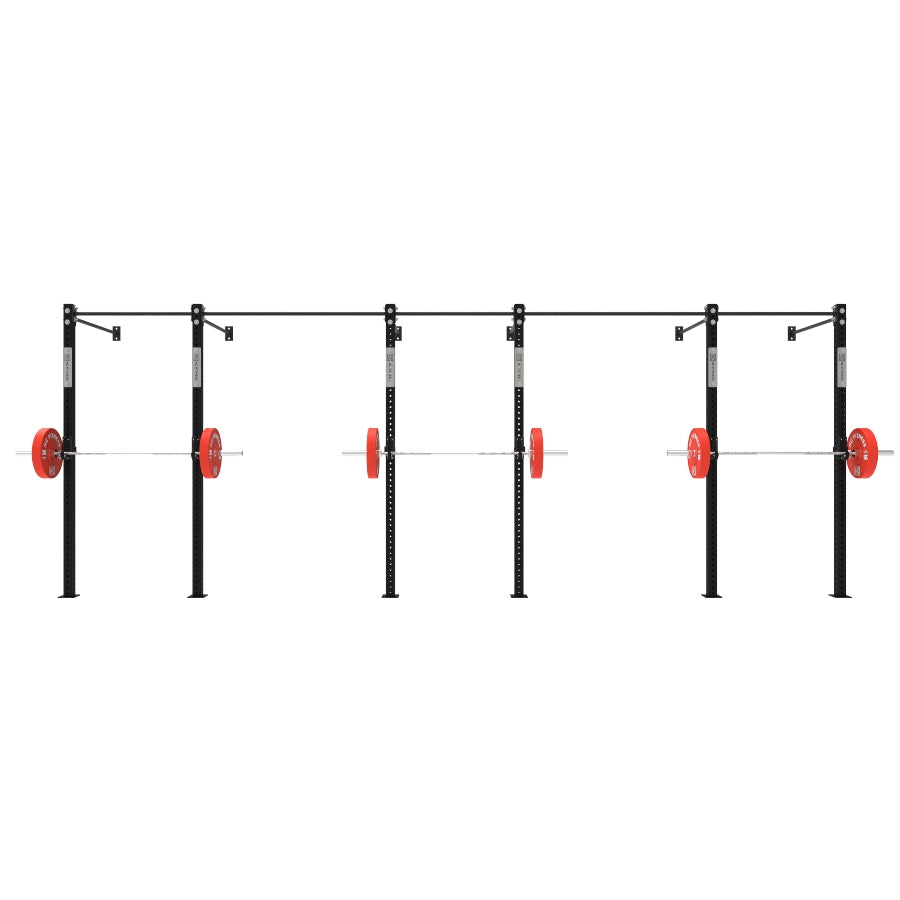 Wall Mounted Gym Equipment Rig