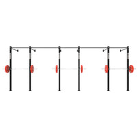 Wall Mounted Gym Equipment Rig