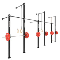 Wall Mounted Gym Equipment Rig