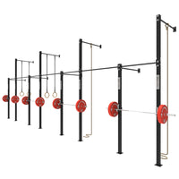 Wall Mounted Gym Equipment Rig