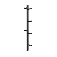 A black metal wall rack with a vertical post, two mounting brackets, and four horizontal hooks, shown against a plain white background.