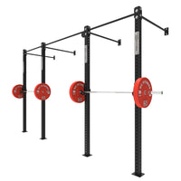 Wall Mounted Gym Equipment Rig