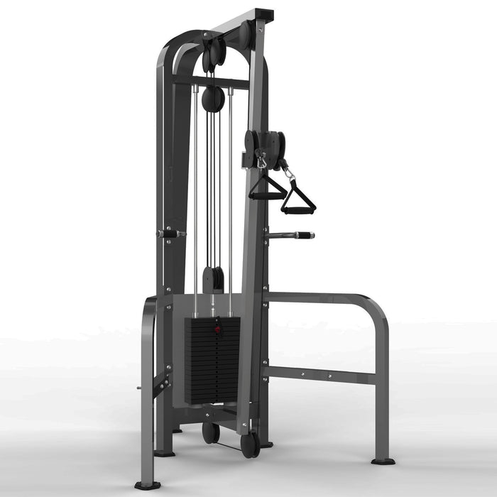 Commercial Double Pulley