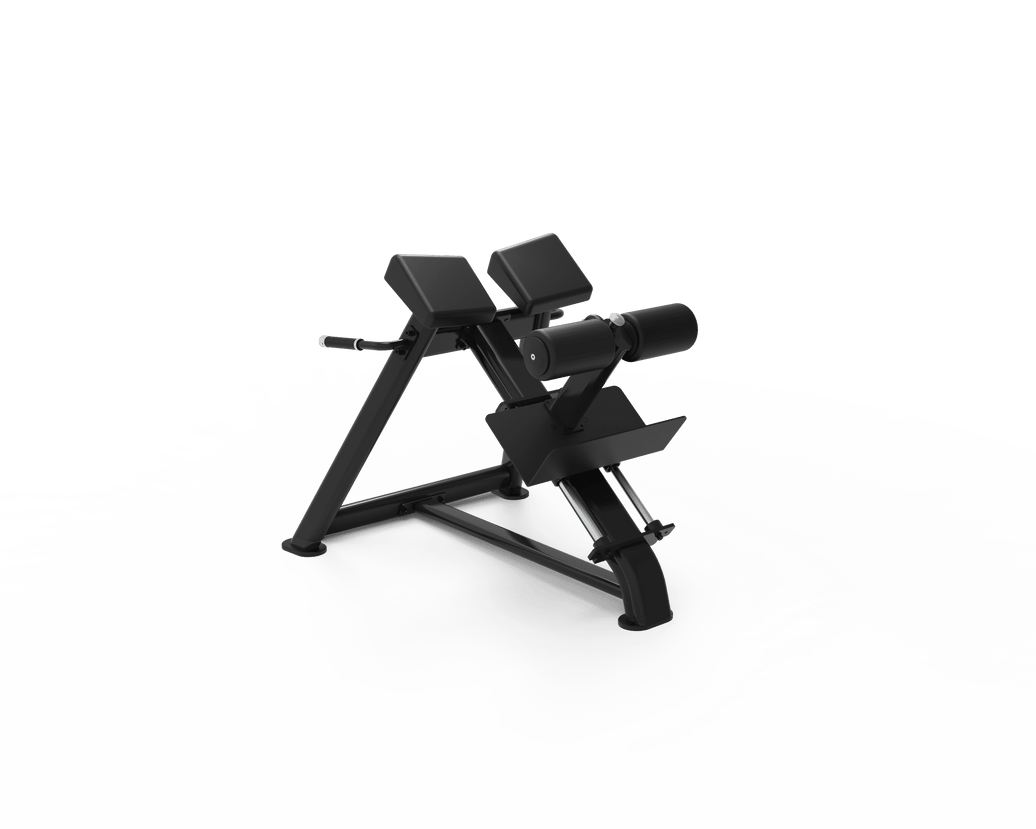 Adjustable Roman Chair